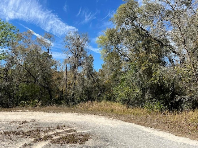 0 Riverstone St Lot 26, Webster, FL 33597 - photo 7