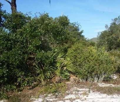 922 W Aster St, Lake Placid FL, 33852 land for sale