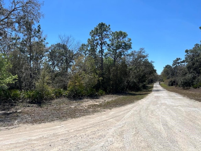 0 NW Ave Lot 32, Webster, FL 33597