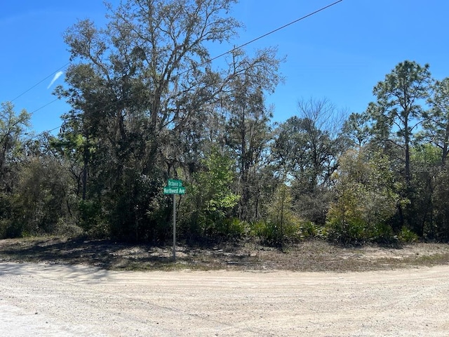0 NW Ave Lot 32, Webster, FL 33597