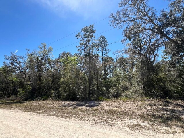 0 NW Ave Lot 32, Webster, FL 33597