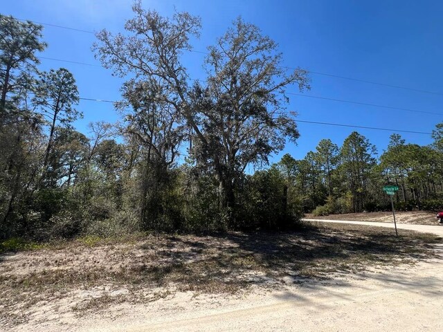 0 NW Ave Lot 32, Webster, FL 33597