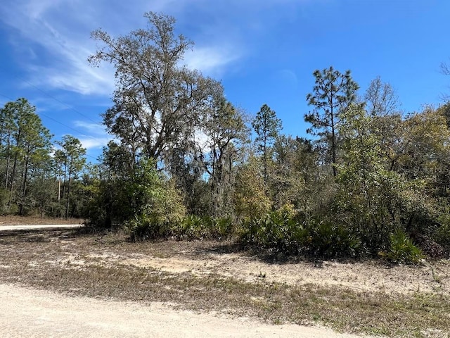 0 NW Ave Lot 32, Webster, FL 33597