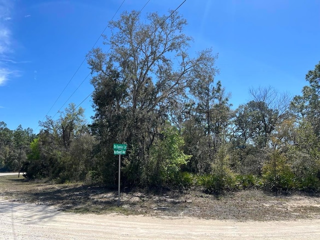 0 NW Ave Lot 32, Webster, FL 33597
