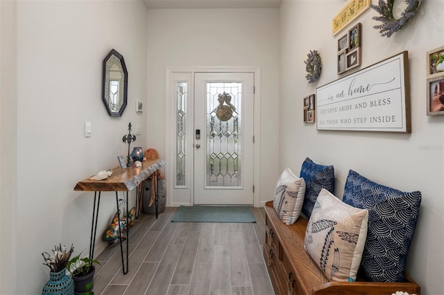 entrance foyer featuring wood finished floors