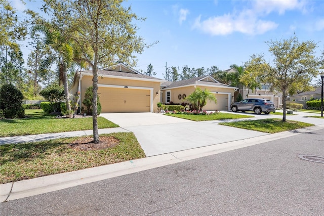 ranch-style house with driveway, a garage, a front lawn, and stucco siding