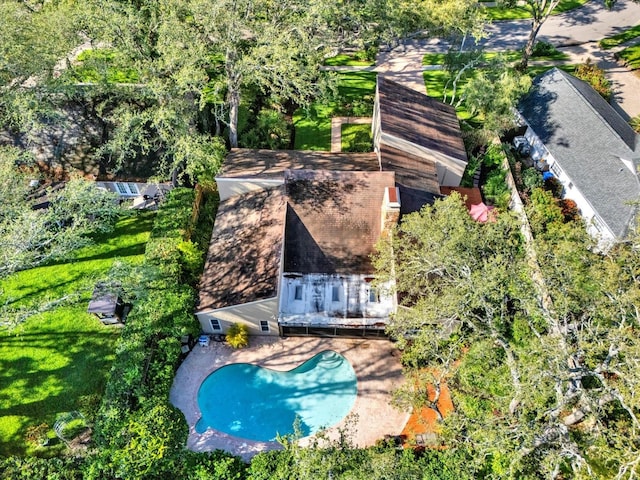 11712 Palmer Dr, Tampa, FL 33624 - aerial view of property and surrounding area featuring a pool area