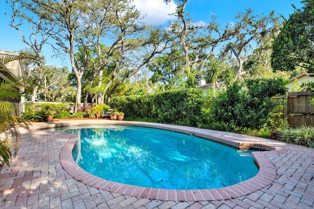 11712 Palmer Dr, Tampa, FL 33624 - view of swimming pool featuring a fenced backyard and a patio