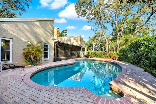 11712 Palmer Dr, Tampa, FL 33624 - swimming pool featuring a sunroom and a patio