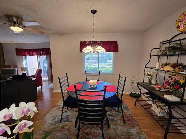 dining room featuring plenty of natural light, a textured ceiling, and wood finished floors