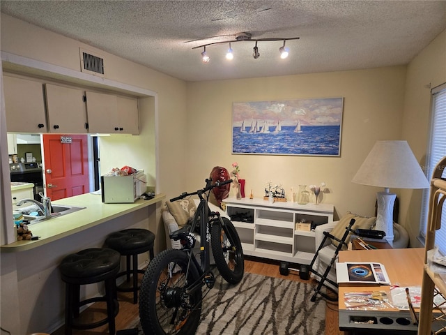 misc room featuring a sink, wood finished floors, visible vents, and a textured ceiling