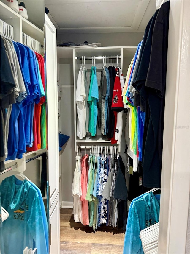 walk in closet featuring wood finished floors