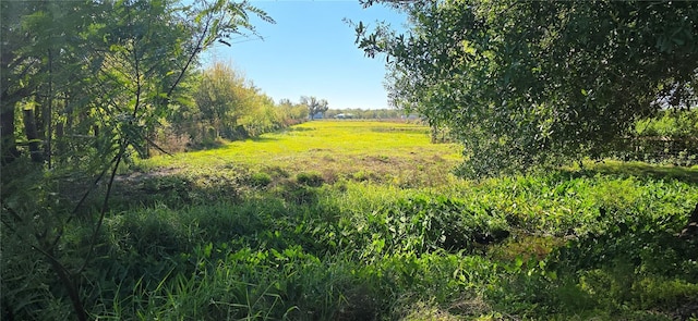 view of landscape