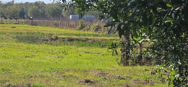 view of nature featuring a rural view