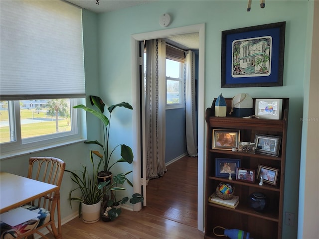 sitting room with baseboards, a wealth of natural light, and wood finished floors