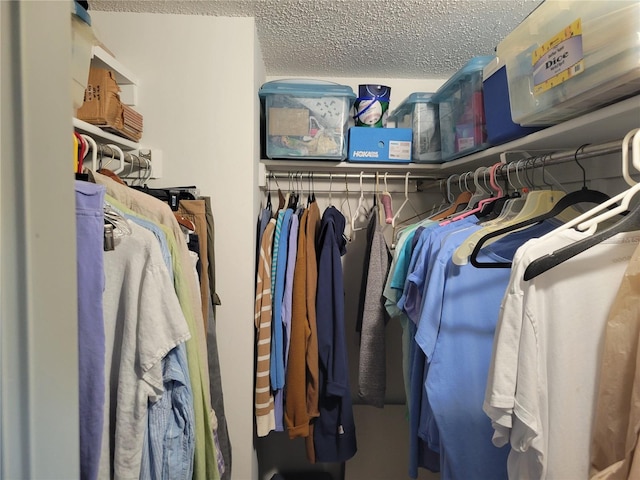 view of spacious closet