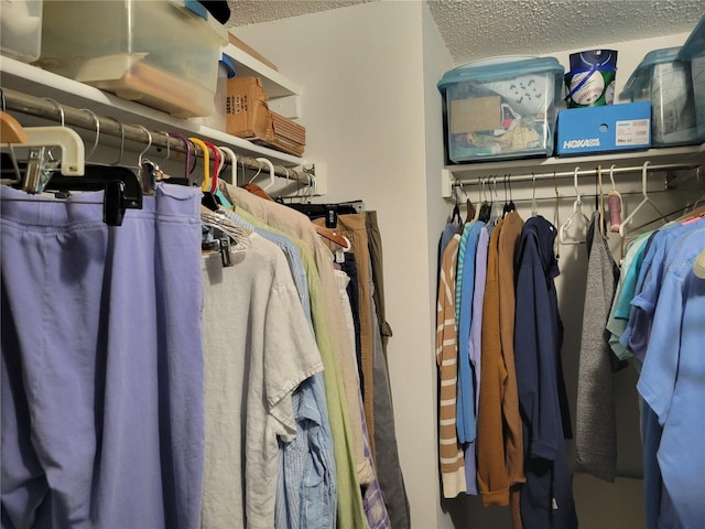 view of walk in closet