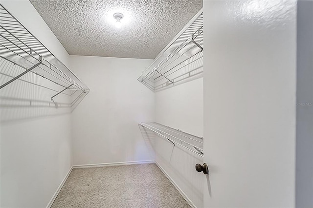 walk in closet with carpet floors