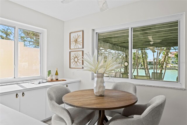 dining space with plenty of natural light and ceiling fan