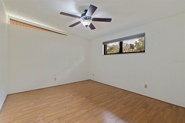 1301 45th Ave N, Saint Petersburg, FL 33703 - photo 24
