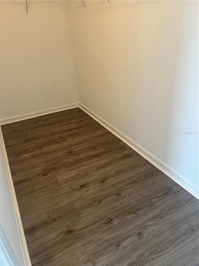 spacious closet featuring dark wood-type flooring