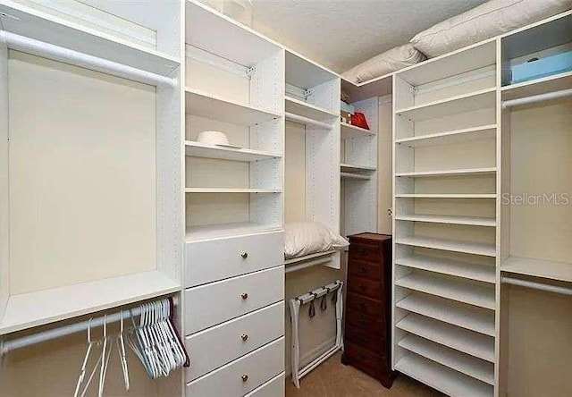 view of walk in closet