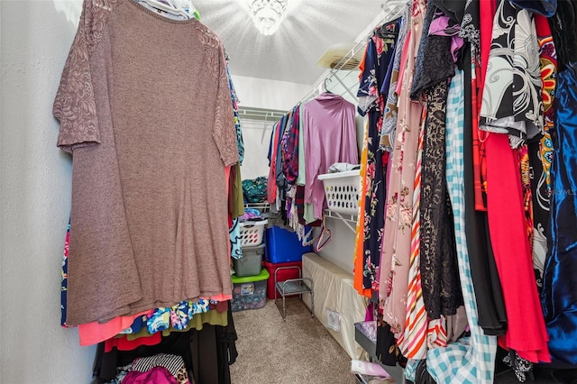 spacious closet featuring carpet