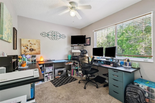 carpeted office space with ceiling fan and a textured ceiling