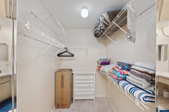 spacious closet featuring carpet