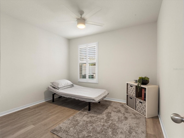 11617 Miracle Mile Dr, Riverview, FL 33578 - photo 22