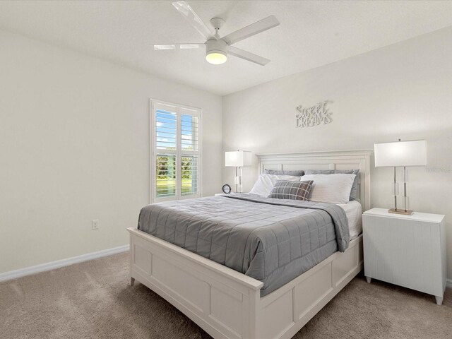 11617 Miracle Mile Dr, Riverview, FL 33578 - photo 35