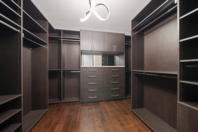 walk in closet featuring dark wood-type flooring