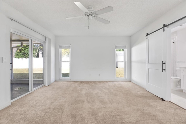 spare room featuring light carpet, a barn door, a textured ceiling, and a wealth of natural light