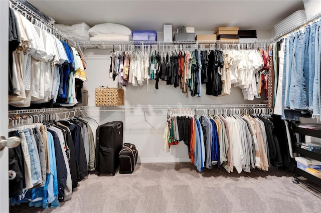 walk in closet featuring carpet flooring