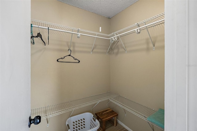 view of walk in closet