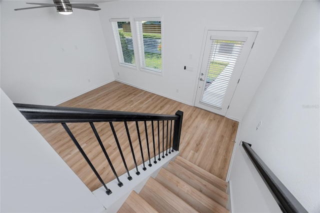 3402 E 28th Ave Unit 7, Tampa, FL 33605 - stairway with wood finished floors, ceiling fan, and baseboards