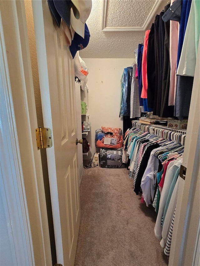 spacious closet with carpet flooring