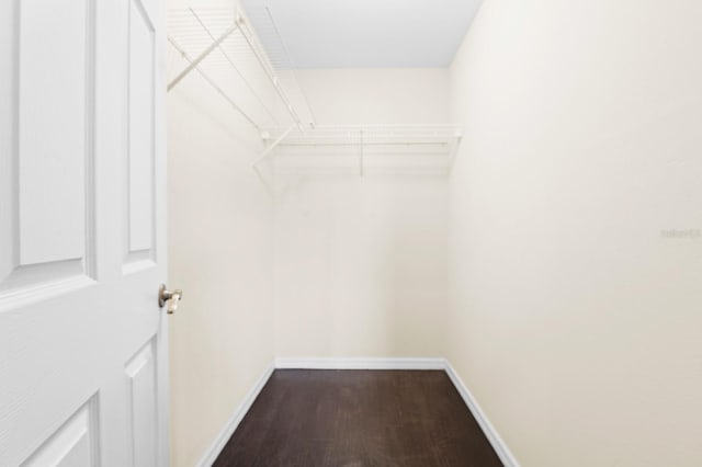 spacious closet with dark wood-style flooring