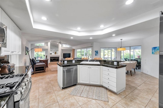 kitchen featuring a glass covered fireplace, stainless steel appliances, a tray ceiling, and a sink