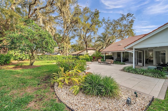 view of yard featuring a patio and a sunroom