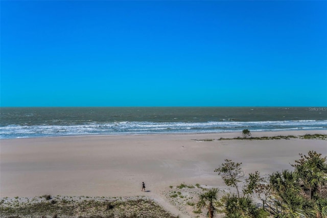 property view of water with a beach view