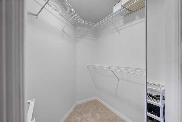 walk in closet featuring carpet