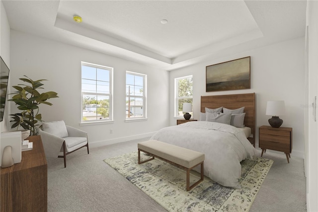 408 W Paris St, Tampa, FL 33604 - bedroom with carpet floors and a tray ceiling