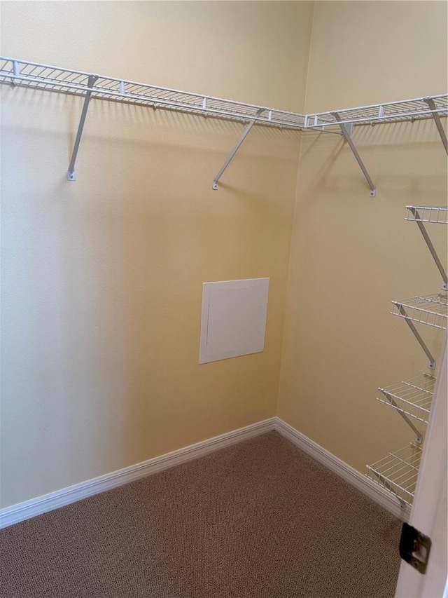 walk in closet featuring carpet flooring