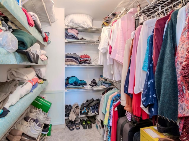 walk in closet with carpet