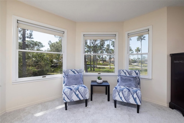 living area featuring baseboards and carpet floors