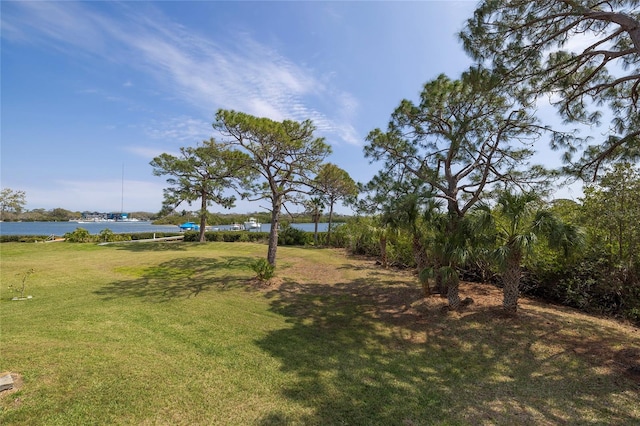 view of yard featuring a water view