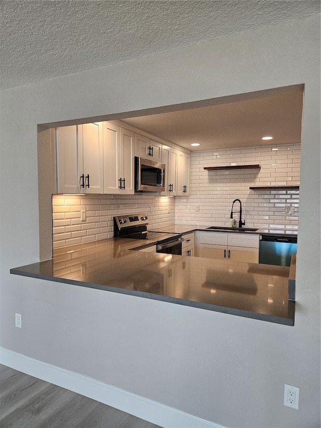 13633 Britton Dr, Hudson, FL 34667 - kitchen featuring appliances with stainless steel finishes, decorative backsplash, a sink, and wood finished floors
