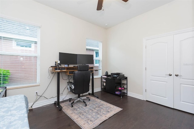 office featuring ceiling fan, baseboards, and dark wood-style flooring