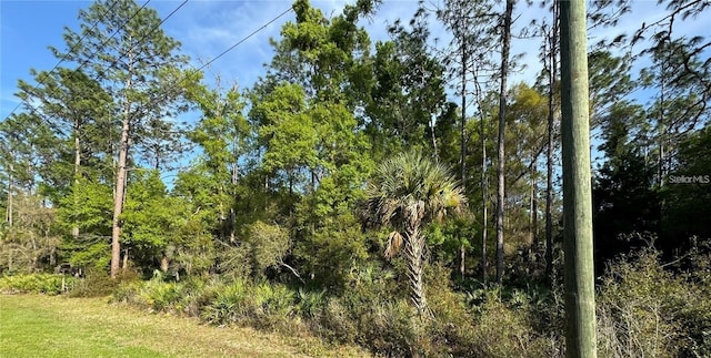 10082 W Dunellon Rd, Crystal River FL, 34428 land for sale